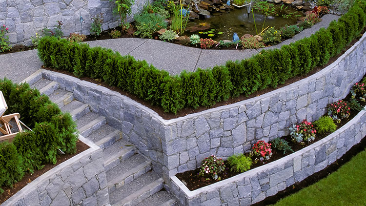 Ein Garten mit einer Steintreppe, Mauern und Beeten mit einer kleinen Hecke
